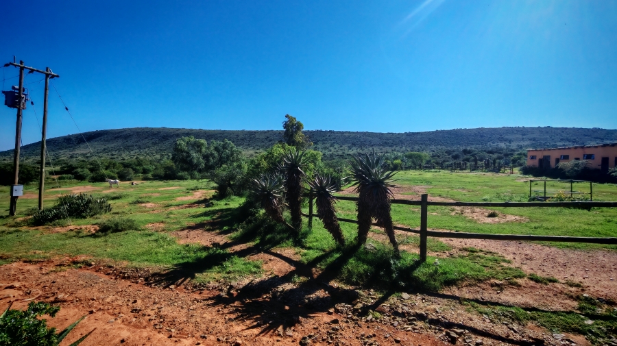 0 Bedroom Property for Sale in Somerset East Rural Eastern Cape